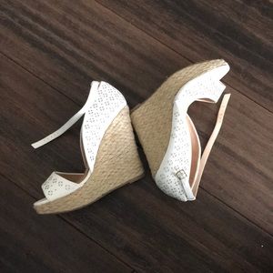 🔥🔥🔥🔥Wild Diva Lounge